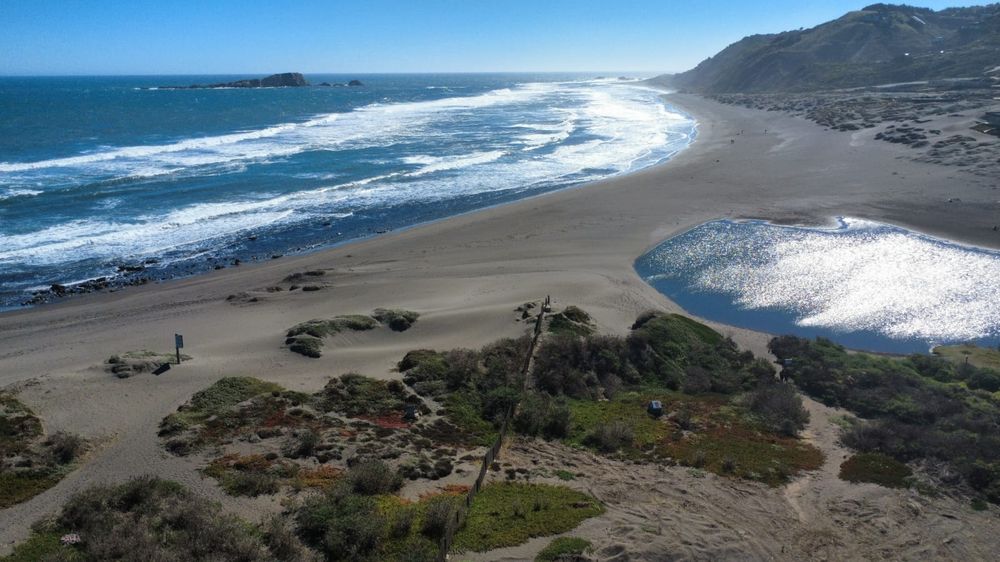 Humedal costero y campo dunar junto a la playa